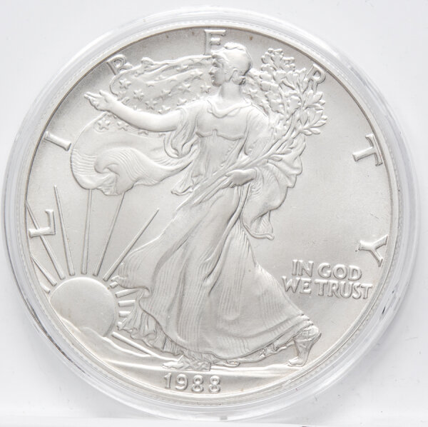 Walking Liberty mit wehender US-Flagge, Sonnenaufgang im Hintergrund, Schriftzüge LIBERTY, IN GOD WE TRUST und Jahrgang