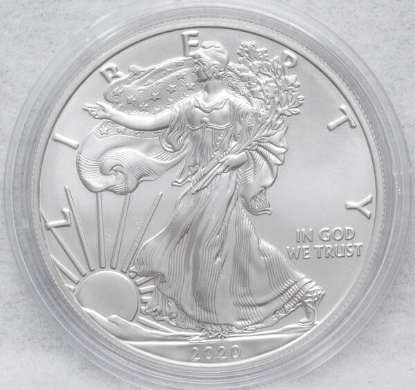 USA 1 Dollar 2020 - Silver - Eagle 1 oz. Silber*