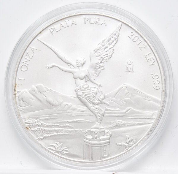 Runde Münze mit geprägtem Adler-Motiv, Spiegelnder Hintergrund mit matten Reliefs.