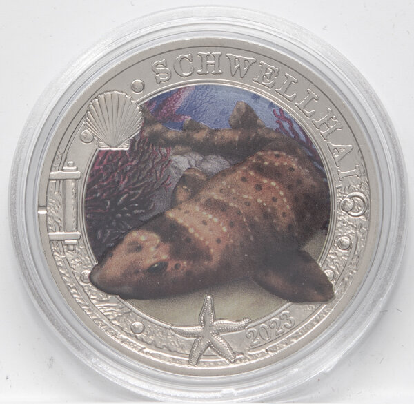 Runde Münze mit geprägtem Portraitprofil-Motiv, Spiegelnder Hintergrund mit matten Reliefs.