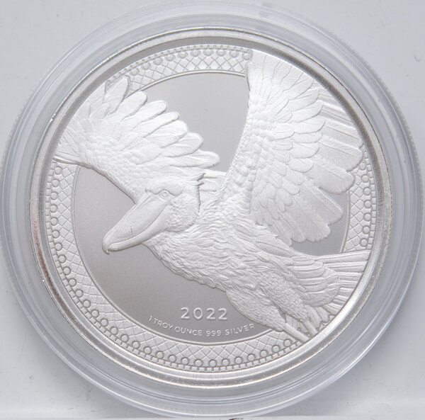 Kongo 1.000 Francs 2022 - Schuhschnabel - Shoebill Stork #2 - 1 oz Silber*