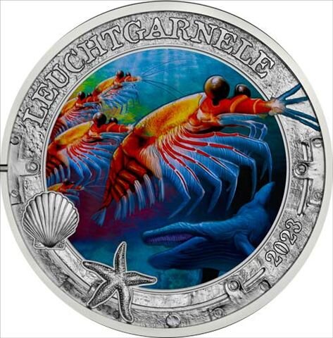 Runde Münze mit geprägtem Portraitprofil-Motiv, Spiegelnder Hintergrund mit matten Reliefs.