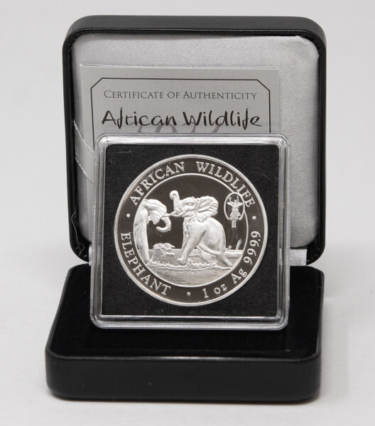 Somalia 100 shillings 2024 - Elefant - Privy WMF