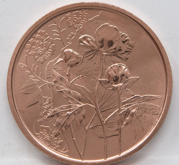 Runde Münze mit geprägtem Portraitprofil-Motiv, Brilliant Uncirculated, feine Oberflächenstruktur.