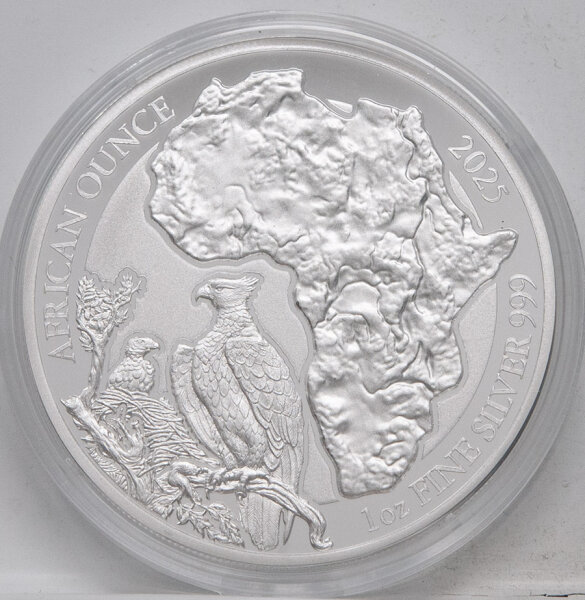 Runde Münze mit geprägtem Portraitprofil-Motiv, Spiegelnder Hintergrund mit matten Reliefs.