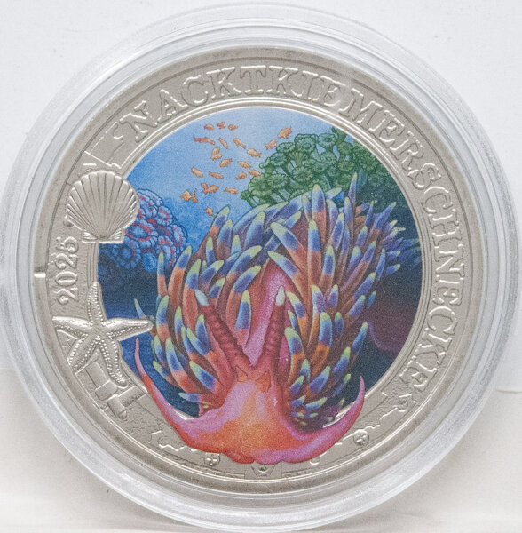 Runde Münze mit geprägtem Portraitprofil-Motiv, Spiegelnder Hintergrund mit matten Reliefs.