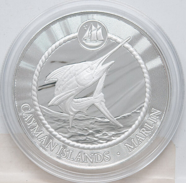 Runde Münze mit geprägtem Portraitprofil-Motiv, Spiegelnder Hintergrund mit matten Reliefs.