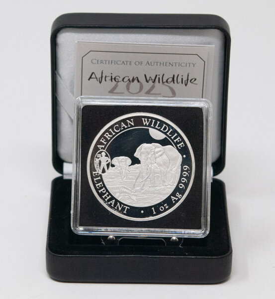 Runde Münze mit geprägtem Segelfisch-Motiv, Spiegelnder Hintergrund mit matten Reliefs.