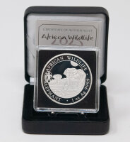 Runde Münze mit geprägtem Segelfisch-Motiv, Spiegelnder Hintergrund mit matten Reliefs.