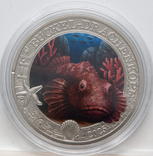 Runde Münze mit geprägtem Portraitprofil-Motiv, Spiegelnder Hintergrund mit matten Reliefs.