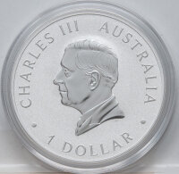 Australien 1 Dollar 2025 - Brumby - 1oz - Coloriert