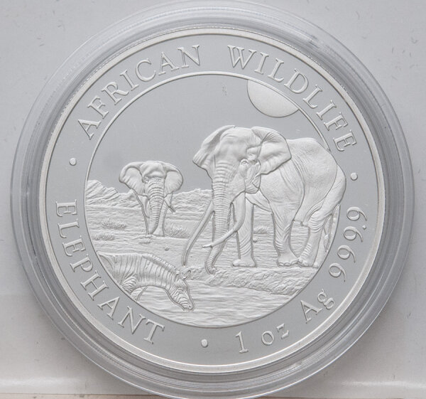 Somalia 2026 African Wildlife Elephant Silbermünze 1 Unze, Elefantenmotiv, Nennwert 100 Shillings, fein .9999 Silber, geriffelter Rand, Wappen von Somalia mit Leoparden.