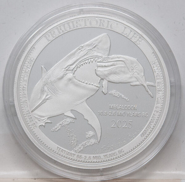 Silbermünze Republik Kongo 2025 – Megalodon 1 Unze BU – Darstellung eines Megalodons mit offenem Maul, gerändelte Kante, Ø 38,61 mm.