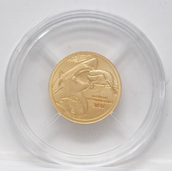 Goldmünze Republik Kongo 2025 – Megalodon 0,5 Gramm Proof – Darstellung eines Megalodons im Relief, gerändelte / feine Kante.