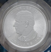 Kanada 5 Dollar 2026 - Treasured Maple Leaf - Privy Year of the Horse - 1 oz. Silber