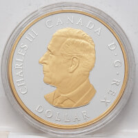 Kanada 1 Dollar 2026 - Peace Dollar - vergoldet