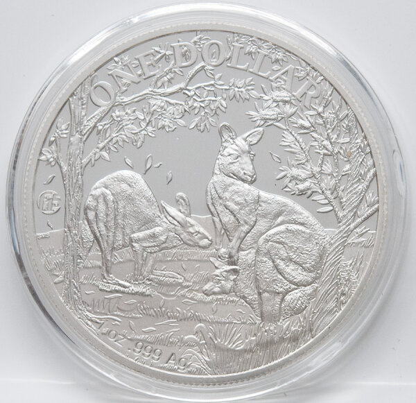 Australien Känguru 2019 1 oz Silber-Bullionmünze BU mit Privy Mark „Fab 15“, Revers Red-Känguru vor radialen Linien, Avers Elizabeth II., 31,103 g .9999 Silber, geriffelter Rand, gekapselt