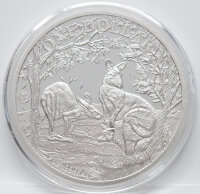 Australien Känguru 2019 1 oz Silber-Bullionmünze BU mit Privy Mark „Fab 15“, Revers Red-Känguru vor radialen Linien, Avers Elizabeth II., 31,103 g .9999 Silber, geriffelter Rand, gekapselt