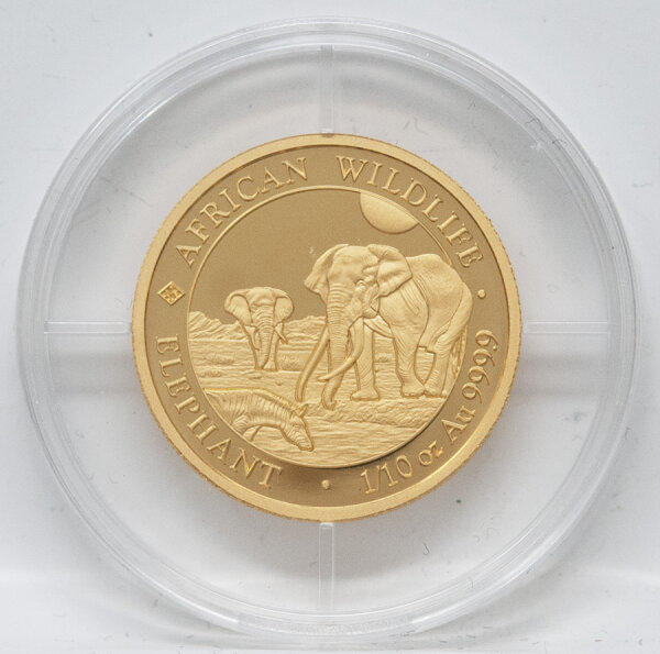 Zeigt das neue Motiv des Jahres 2026: Ein afrikanischer Elefant in einer Steppenlandschaft. Am Rand stehen die Schriftzüge AFRICAN WILDLIFE, ELEPHANT sowie 1/10 oz Au 999.9.