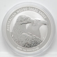 Detaillierte Rückseite der Australian Wedge-Tailed...