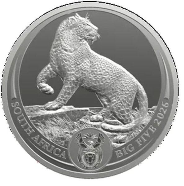 Die Rückseite der Silbermünze präsentiert das ikonische Split-Portrait: Zwei gespiegelte Hälften eines Leopardenkopfes flankieren ein zentrales kreisförmiges Feld. In der Mitte sind der Nennwert FIVE RAND, das Gewicht 1oz und die Feinheit Ag 999 eingraviert. Unterhalb der Inschriften ist die filigrane Darstellung eines afrikanischen Fruchtkäfers (Pachnoda sinuata) als Symbol für das südafrikanische Ökosystem zu sehen.