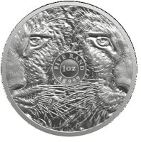 Die Vorderseite zeigt eine detailreiche Ganzkörper-Darstellung eines majestätischen Leoparden, der auf einem Felsen in der südafrikanischen Savanne wacht. Das feine Relief bringt die typischen Fellzeichnungen und die muskulöse Statur der Raubkatze perfekt zur Geltung. Am unteren Rand ist das offizielle südafrikanische Staatswappen abgebildet, ergänzt durch die Inschriften SOUTH AFRICA und BIG FIVE 2026.