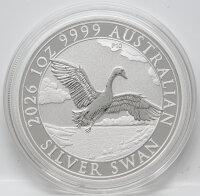 Ein anmutiger Schwan in seinem natürlichen Habitat...