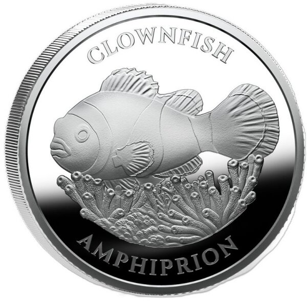 Zentrales Motiv eines Clownfischs (Amphiprion), der über einer detailreich gestalteten Seeanemone schwimmt. Am oberen Rand die Inschrift CLOWNFISH, am unteren Rand der wissenschaftliche Name AMPHIPRION.
