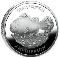 Zentrales Motiv eines Clownfischs (Amphiprion), der...