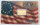 Die prachtvolle und detailtiefe Darstellung des amerikanischen Weißkopfseeadlers (Heraldic Bald Eagle), dem stolzen Wappenvogel der USA, feierlich inszeniert zum historischen 250. Jubiläum der Unabhängigkeitserklärung.