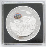 Rückseite der Somalia 100 Shillings 2026 Silbermünze mit dem offiziellen Staatswappen Somalias.