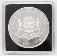 Somalia 100 shillings 2026 - Elefant - Privy - ANA Pittsburgh