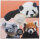 Vorderseite der Frankreich 5 Euro 2026 Münze Pandas & Koala mit der bezaubernden Darstellung der Tierikonen.