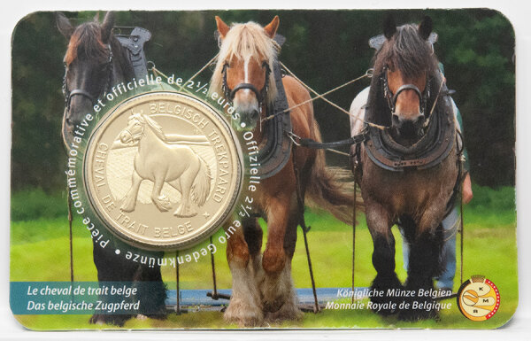 Vorderseite der offiziellen französischen Coincard 2,5 Euro Belgien 2026 Brabanter Pferd mit dem imposanten Kaltblut-Motiv.