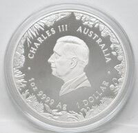 Australien 1 Dollar 2026 - Wonders of Australia - The Outback 1 oz Silber PP