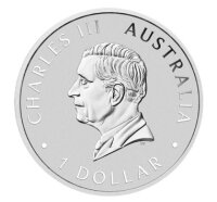 Rückseite der ANDA Schwan Coincard mit dem Konterfei...