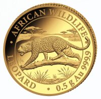 Vorderseite der Somalia 20 Shilling 2026 Leopard 0,5 g...