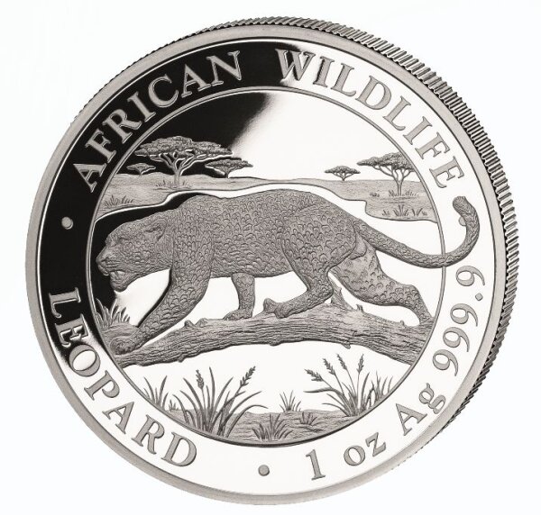 Vorderseite der Somalia 100 Shilling 2026 Leopard 1 oz Silbermünze BU mit dem dynamischen Raubkatzen-Motiv.
