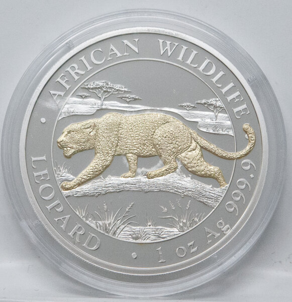 Vorderseite der vergoldeten 100 Shilling Somalia Silbermünze 2026 Leopard.