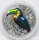 Niue 5 Dollar 2026 - Rainbow Toucan - 2 Unzen High Relief